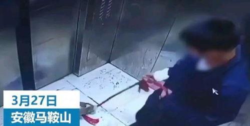 辽宁男孩爆料视频最新,揭秘惊人真相！  第2张